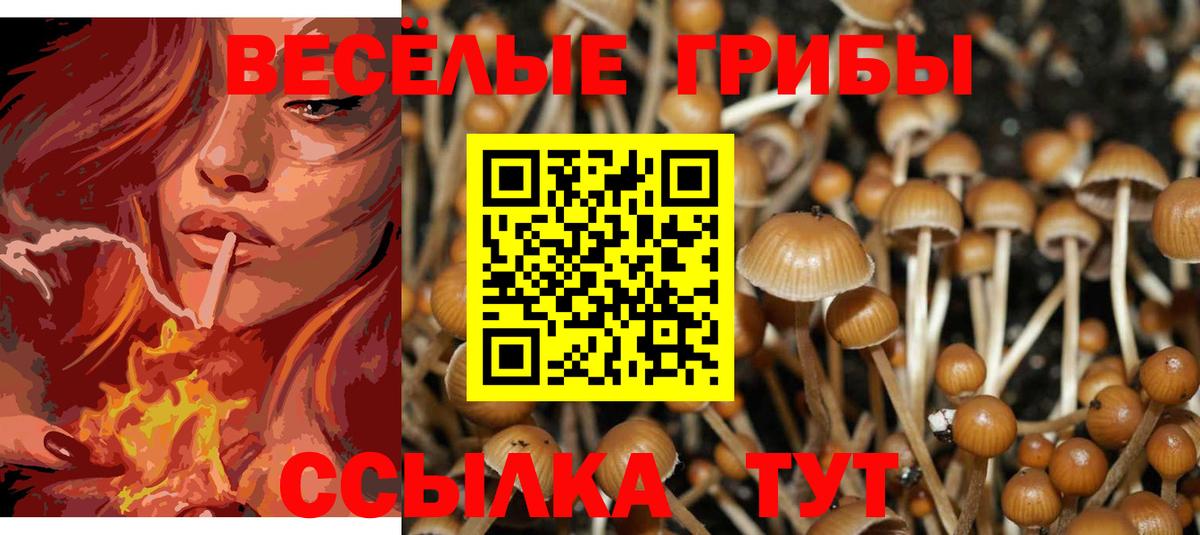 Галлюциногенные грибы GOLDEN TEACHER  Вход с VPN  Ачхой-Мартан  Галлюциногенные грибы мицелий 