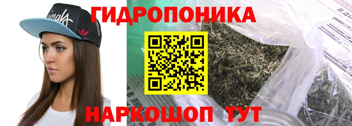 Каннабис OG Kush  Бошки марихуана марихуана  Шишки марихуана марихуана  Ачхой-Мартан  Вход с VPN 
